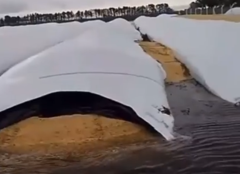 Silobolsas bajo el agua en Rafael Obligado, Rojas.