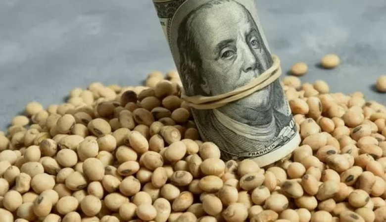 Tras la baja de retenciones, el agro liquidó más de US$ 2.100 millones en febrero