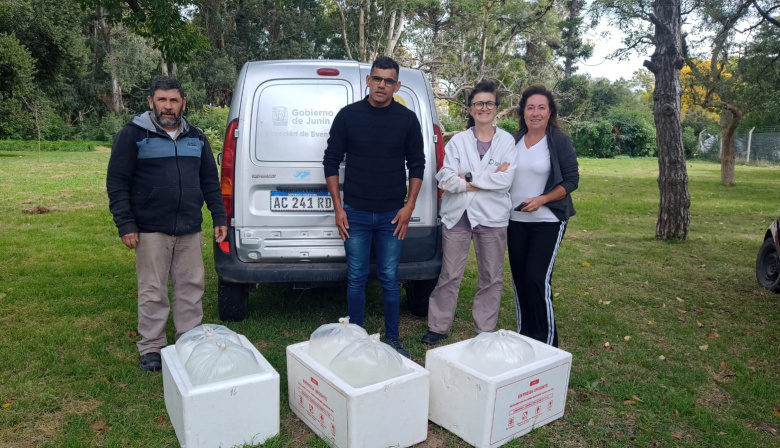 Siembran 110.000 huevos y alevines con el objetivo de recuperar la población de pejerreyes en las lagunas de Junín