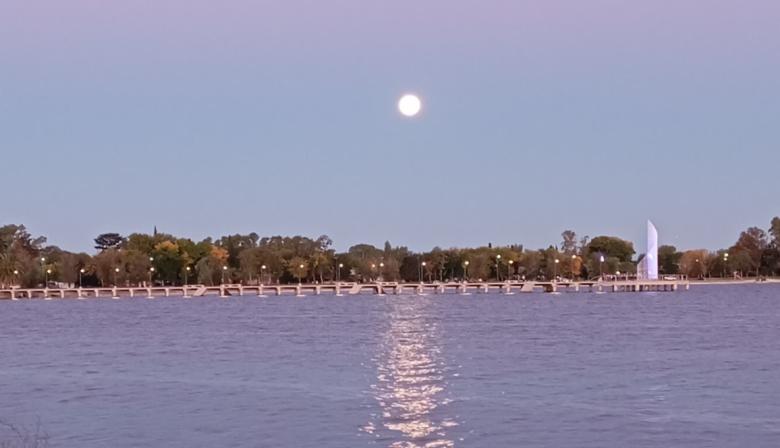 La magia del agua vuelve a las lagunas de Junín con reflejos que inspiran a fotógrafos para tomar postales soñadas
