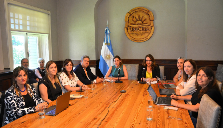 Celebran la derogación del artículo que disponía el veto a las leyes de Financiamiento Universitario y Discapacidad