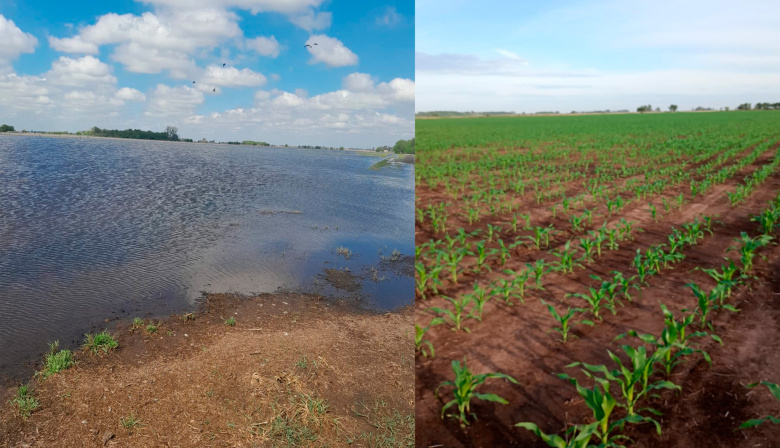 Obras hídricas en Chacabuco: recuperaron más de 2.000 hectáreas afectadas por anegamientos