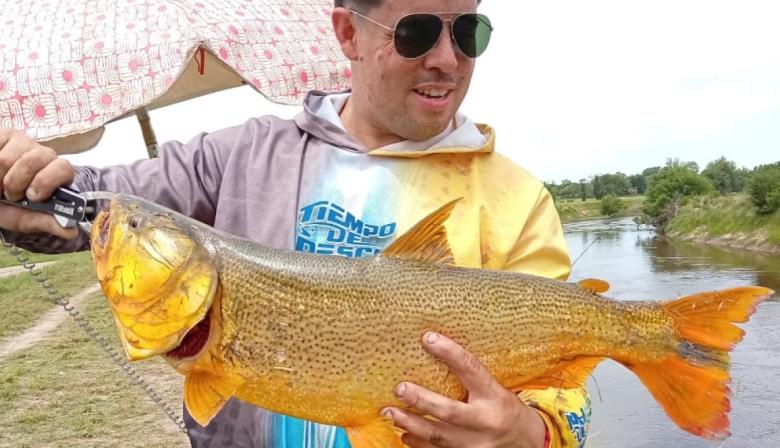 Pesca de dorados a poco más de una hora de Junín: una posibilidad real en el Río Arrecifes