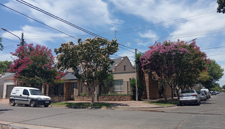 Cuando la ciudad se viste de verano: los árboles de Júpiter florecen en Junín