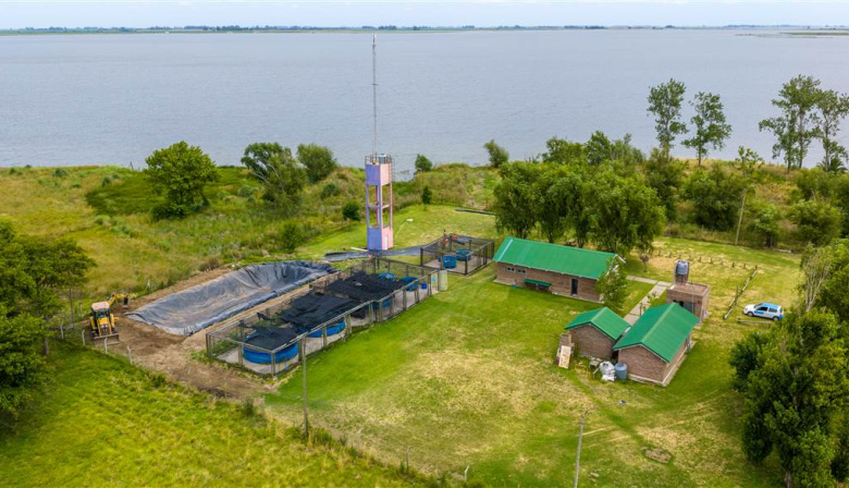 Tras más de cuatro años de sequía y siembra, volvió el pejerrey a las lagunas de Junín