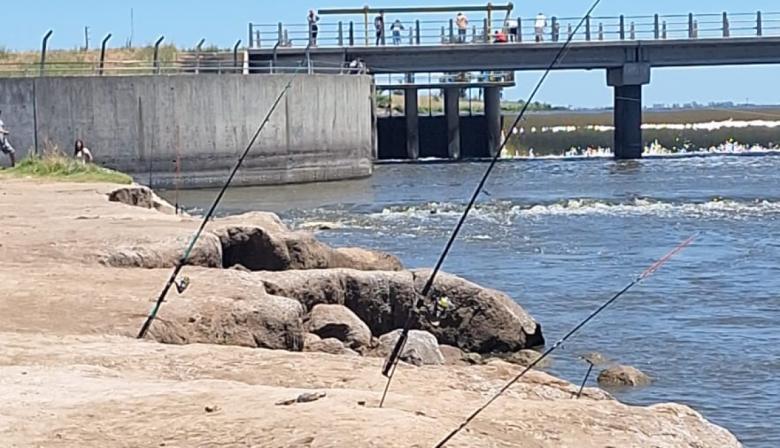 Detectaron 15 infracciones por pesca furtiva en lagunas del partido de Junín