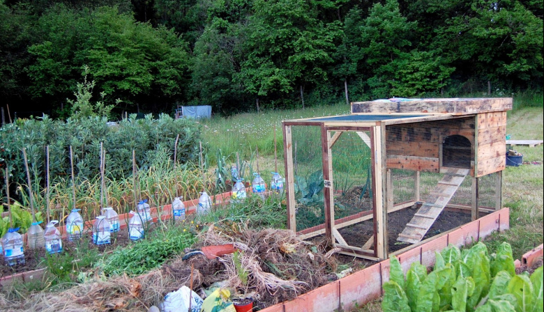 Volver a la tierra para volver a ser: cuando el patio producía alimentos y éramos libres de verdad