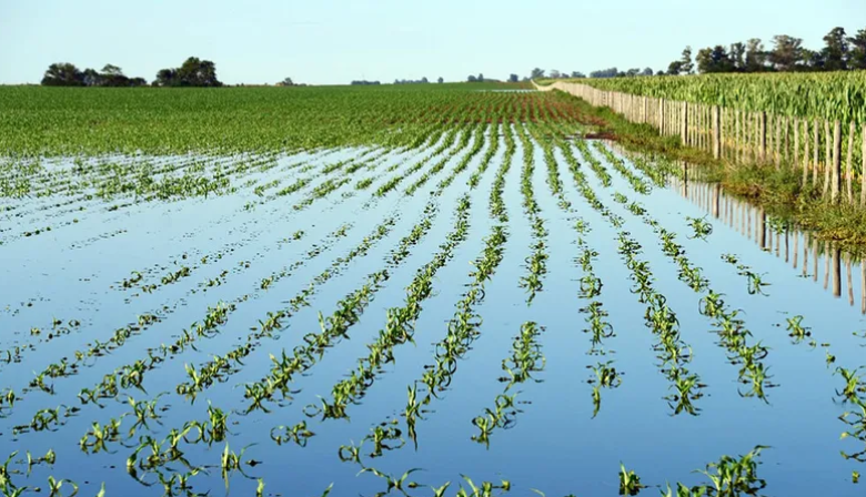 Inundaciones: declaran la emergencia agropecuaria para Junín, Chacabuco, Viamonte y otros municipios