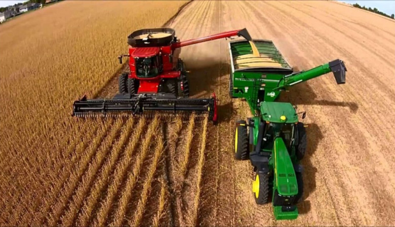 Se mantienen las proyecciones de cosecha para soja y maíz tras las lluvias de febrero