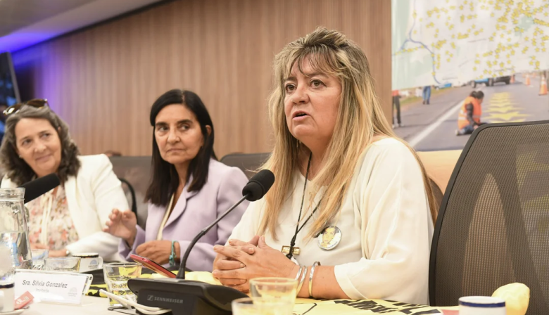 Diputados abordó el proyecto sobre siniestralidad vial que busca endurecer penas