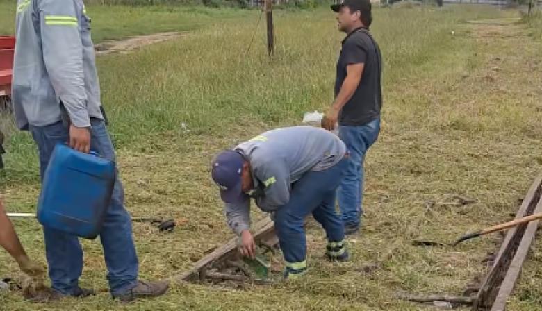 Por la cosecha récord: en Rojas repararon un cambio de vías para el regreso de un tren de carga