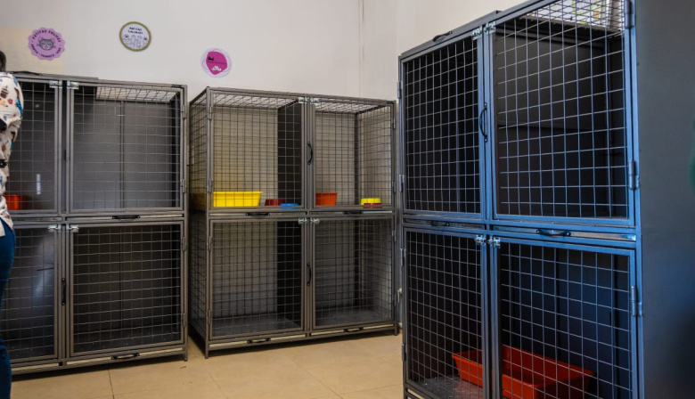 Junín suma infraestructura en Zoonosis con un sector exclusivo para felinos