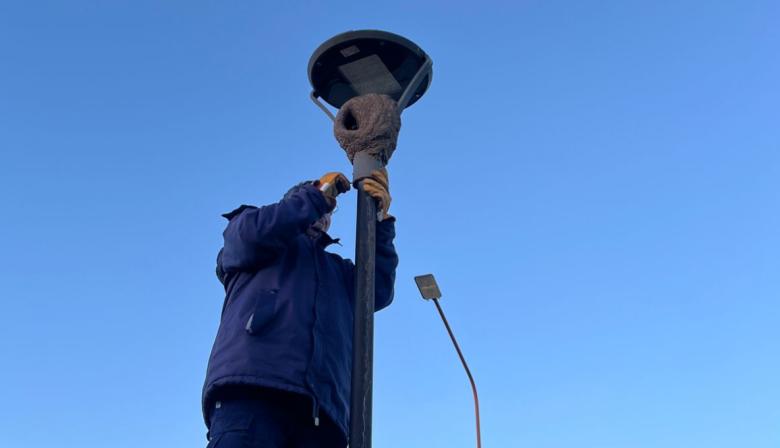 Nuevos kits de luminarias LED en Pasteur