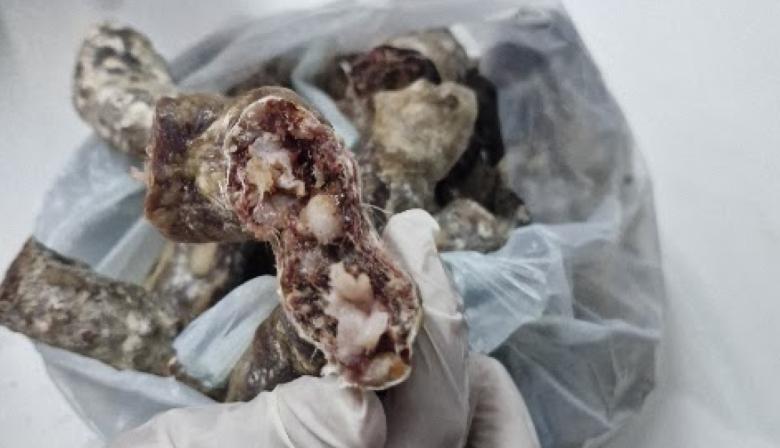Alerta por triquinosis en la Región: recomendaciones para prevenir la enfermedad