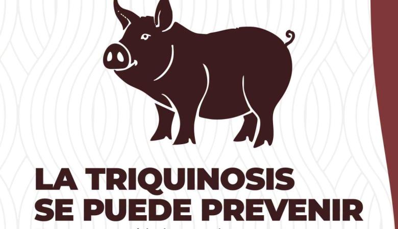 General Viamonte refuerza la prevención de la triquinosis y recuerda la importancia de analizar la carne antes de elaborar chacinados