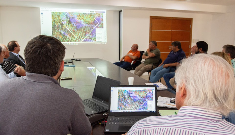 Lincoln solicitará la declaración de Emergencia Agropecuaria por las inundaciones en el sur y sureste del distrito