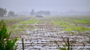 Clima y finanzas: cuánto llovió en los distintos partidos de la zona núcleo