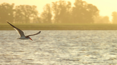 Se realizará un recorrido guiado por el Camino Costero para avistar fauna autóctona