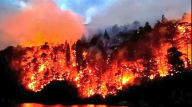 El incendio en el Parque Nacional Nahuel Huapi continúa activo: ya son más de 40 días de fuego