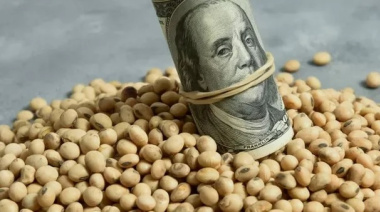 Tras la baja de retenciones, el agro liquidó más de US$ 2.100 millones en febrero