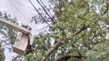 El Municipio de Alem informó las tareas realizadas tras la tormenta del viernes