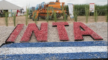 Motosierra profunda y en continuado: ahora gira hacia el INTA y la IGJ