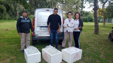Siembran 110.000 huevos y alevines con el objetivo de recuperar la población de pejerreyes en las lagunas de Junín