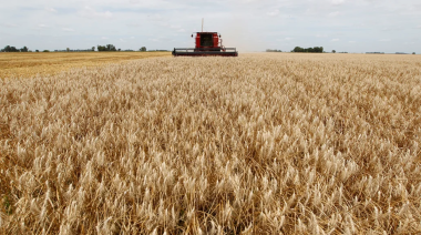 La Bolsa de Cereales espera una cosecha de 50 millones de toneladas para el ciclo 2024/25