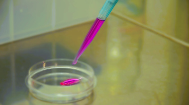 Terapia biológica para regenerar huesos