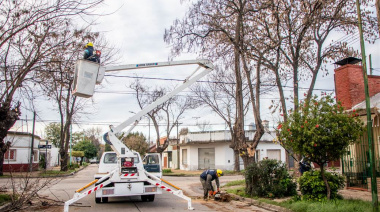 Ya está en marcha el plan anual programado de poda en Junín