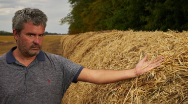 Preocupación en el campo por el ingreso de carne importada: “Brasil es mucho más competitivo que Argentina”