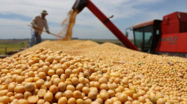 Productores agropecuarios advirtieron al Gobierno sobre la suba de retenciones