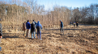Proyecto forestal en el predio del ex Vivero Municipal