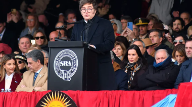 Oficial: bajan las retenciones a las exportaciones de soja, carne, maíz, sorgo y girasol