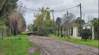 La tormenta de Santa Rosa provocó caídas de árboles y postes, pero sin evacuados en Junín