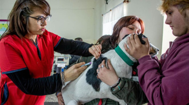 Lanzan una campaña gratuita de vacunación antirrábica en plazas y barrios de la ciudad