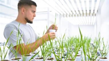 Sembrar conocimiento, cosechar futuro