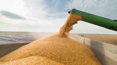 El Gobierno Nacional elimina retenciones a los granos hasta el 31 de octubre