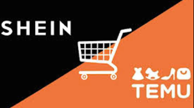 Mercado Libre pide que el gobierno regule a Shein y Temu, sus competidores asiáticos