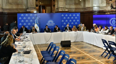 Senado: LLA no incorporó al dictamen del Presupuesto el capítulo 11 rechazado por Diputados