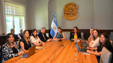 Celebran la derogación del artículo que disponía el veto a las leyes de Financiamiento Universitario y Discapacidad