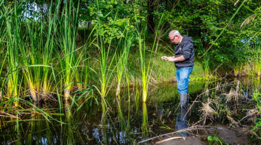 Continúan las tareas municipales para el control del barigüí en Junín