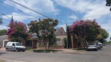 Cuando la ciudad se viste de verano: los árboles de Júpiter florecen en Junín