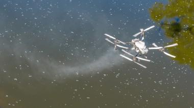 El Municipio de Junín incorporó drones para reforzar el combate contra el barigüí