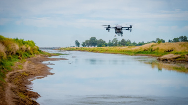Junín intensifica los operativos contra el barigüí con drones y control biológico