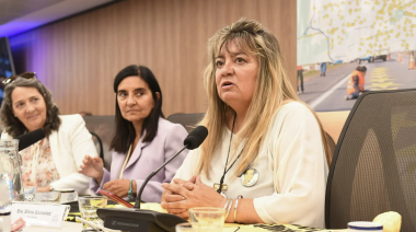 Diputados abordó el proyecto sobre siniestralidad vial que busca endurecer penas