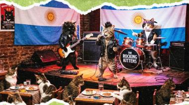 “Michi Rock”: música y solidaridad para ayudar a los gatos rescatados en Junín