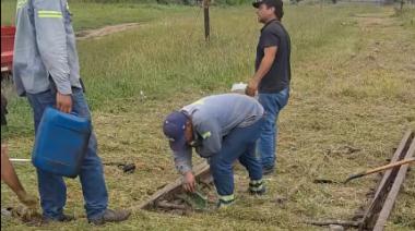 Por la cosecha récord: en Rojas repararon un cambio de vías para el regreso de un tren de carga