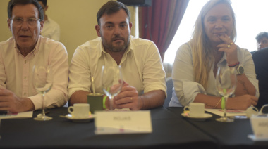 Atraso en los pagos de IOMA y el Programa Remediar: los pedidos de Bouvier en el Congreso de Salud