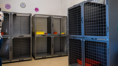 Junín suma infraestructura en Zoonosis con un sector exclusivo para felinos